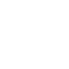 icons8-shopping-bag-100